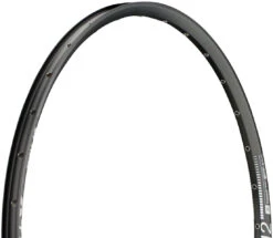 Dt-swiss Llanta X 412 Disc 29"