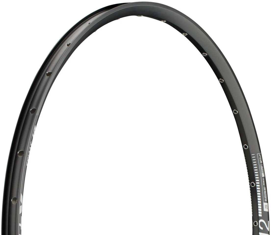 Dt-swiss Llanta X 412 Disc 29"