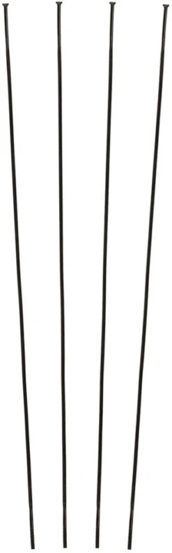 Campagnolo® Radios De Repuesto Zonda C17 Desde Modelo 2016