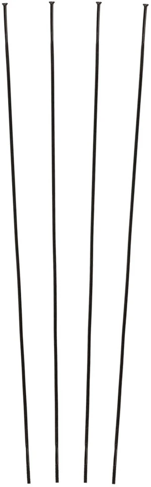 Campagnolo® Radios De Repuesto Zonda C17 Desde Modelo 2016