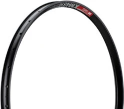 Dt-swiss Llanta XM 481 Disc 29"