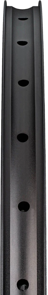 Dt-swiss Llanta XM 481 Disc 29" - Imagen 4