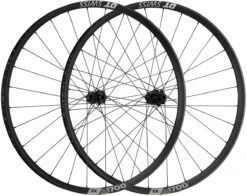 Dt-swiss Juego De Ruedas EX 1700 SPLINE 30 Boost Disc Center Lock 29"