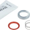 Dt-swiss Kit De Mantenimiento Para Rueda Libres EXP